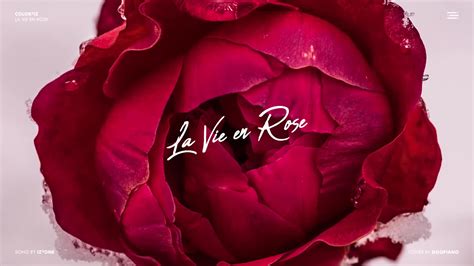 is the rose of hermes the la vie en rose|la vie en rose.